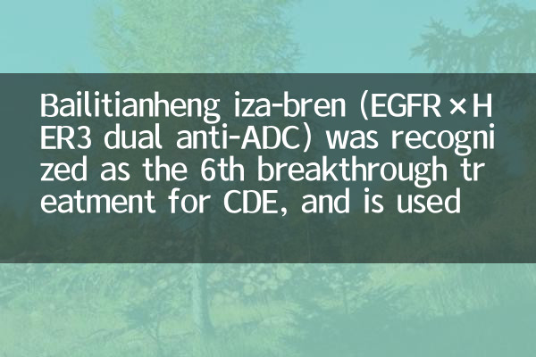 Bailitianheng Iza-Bren (EGFR × HER3 Dual Anti-ADC) a été reconnu comme le 6e traitement révolutionnaire du CDE, et est utilisé pour le cancer de l'ovaire récurrent résistant au platine, etc.
