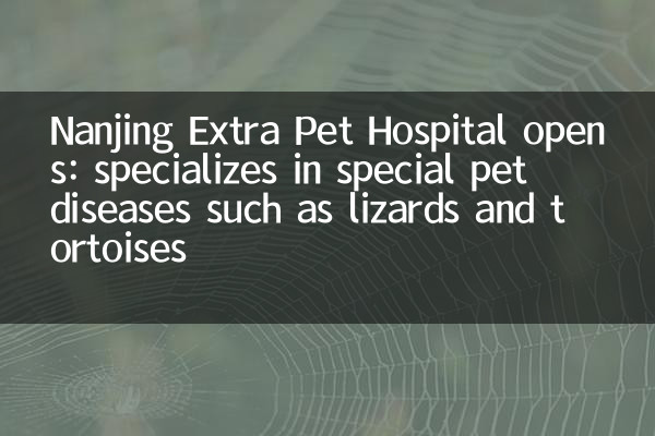 Nanjing Extra Pet Hospital Open: Spécialité dans les maladies spéciales pour animaux de compagnie telles que les lézards et les tortues