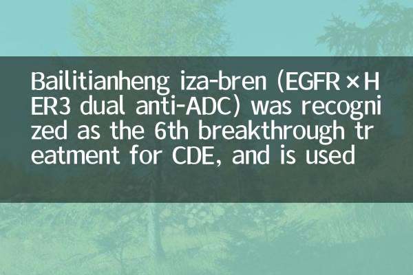 Bailitianheng Iza-Bren (EGFR × HER3 Dual Anti-ADC) a été reconnu comme le 6e traitement révolutionnaire du CDE, et est utilisé pour le cancer de l'ovaire récurrent résistant au platine, etc.